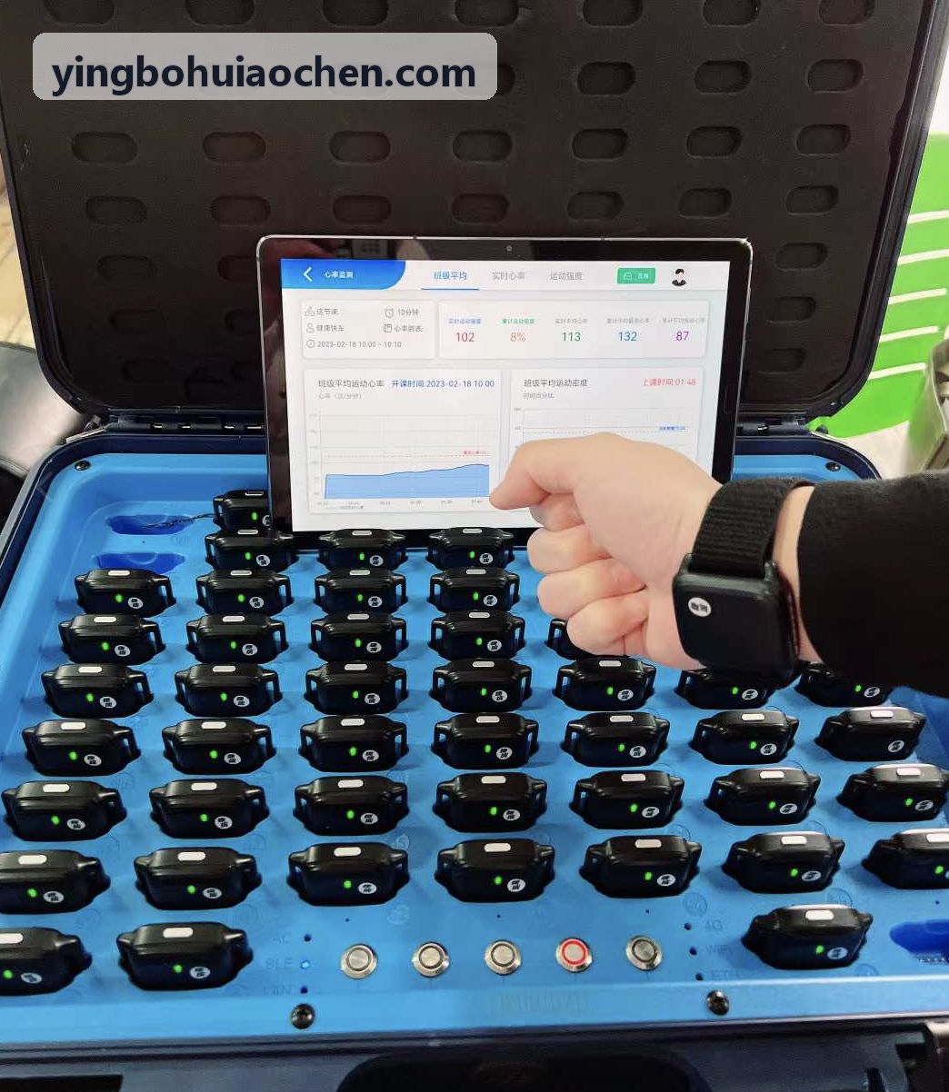 YINGBOHUI重竞技力量爆发力周期调控